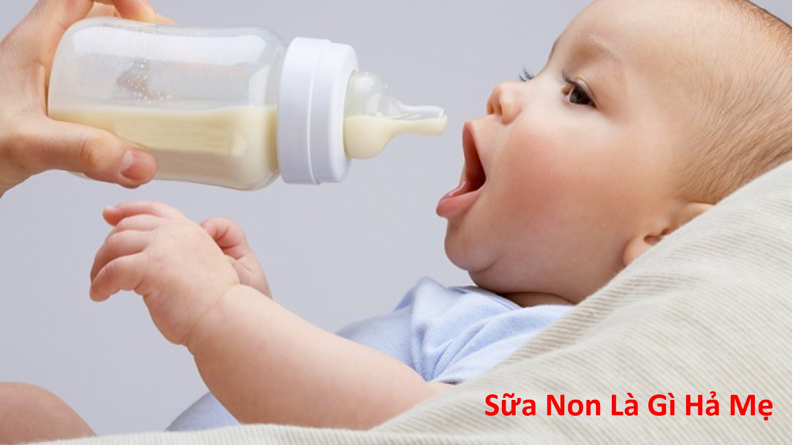 sữa non natrumax có tốt không